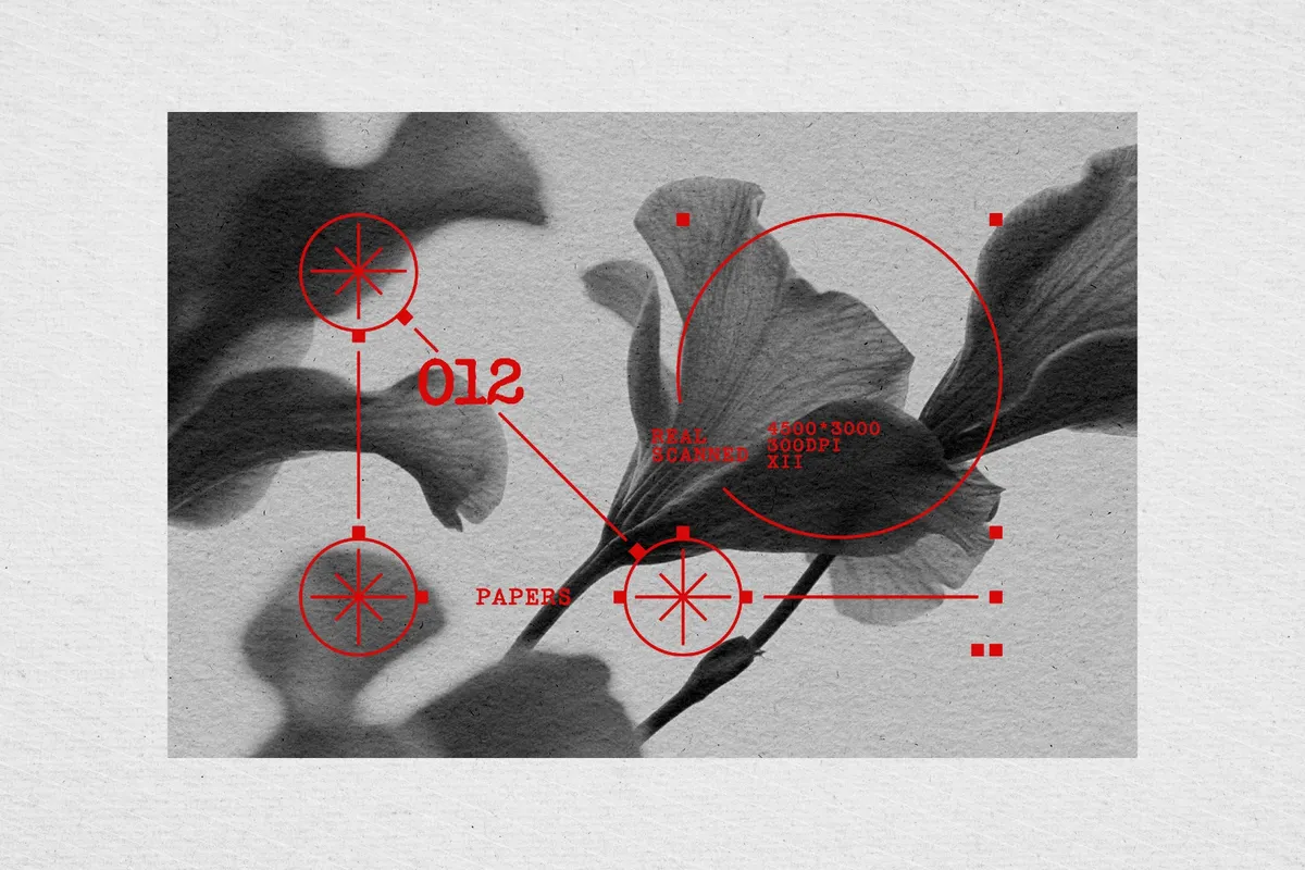Paper Textures Collection