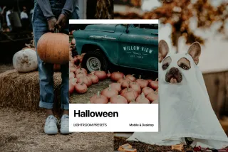 Halloween Lightroom Presets
