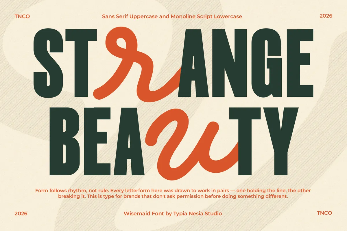 Wisemaid - Tall Sans & Monoline Script Font