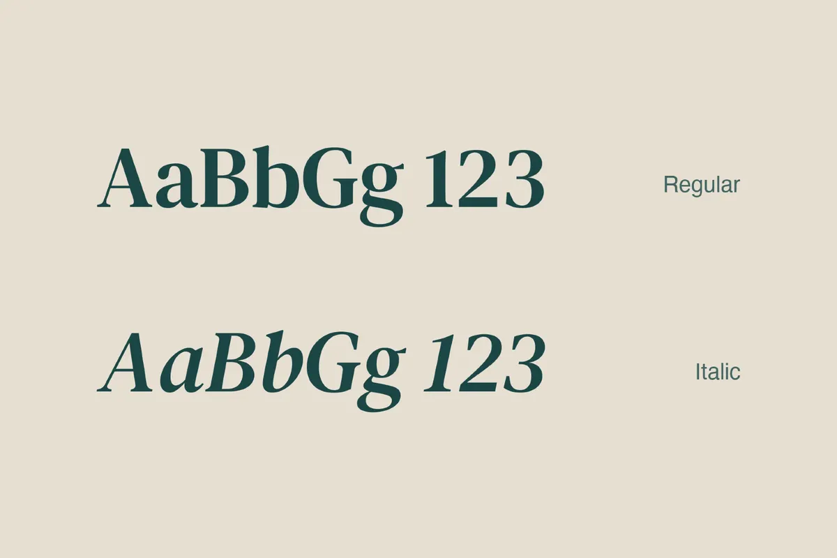 DM Serif Text - Free Font