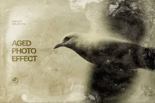 Antique Photo Effect
