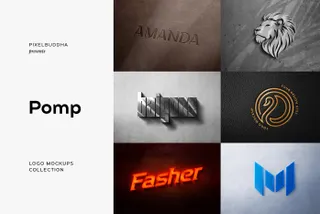 Pomp: 30 Logo Mockup Scenes