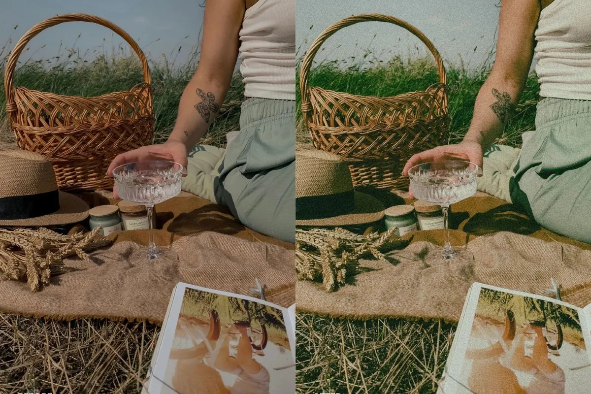 Analog Film Lightroom Presets