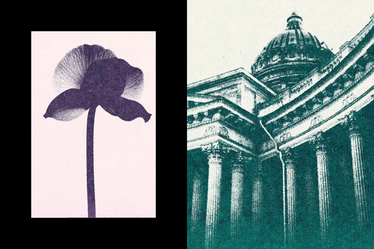 Grain Print Photo Effect