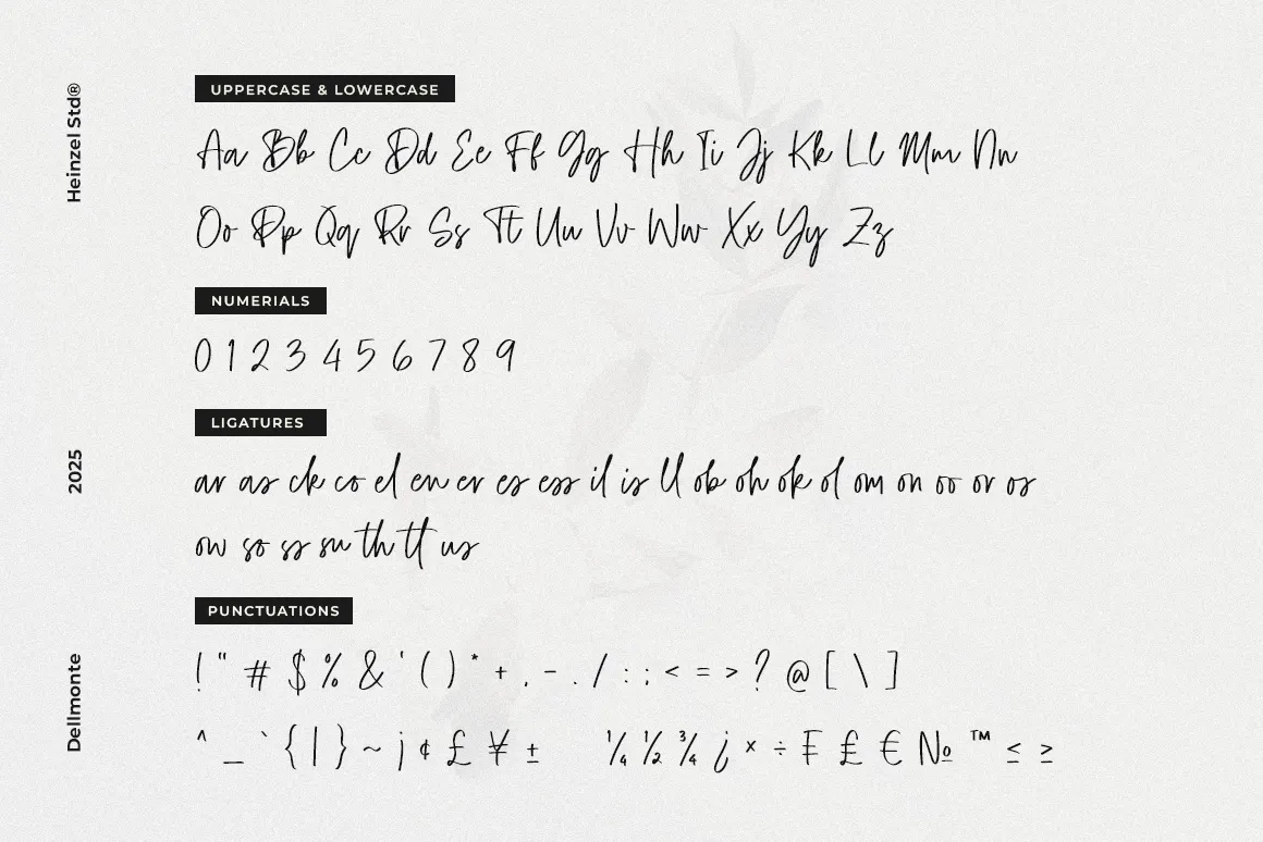 Dellmonte - Handwritten Script Font