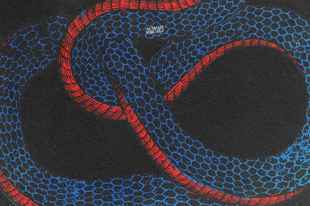 Snakes & Dragons Illustrations