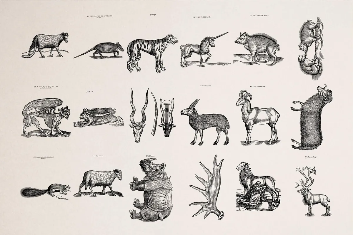 Four Footed Beasts and Animals