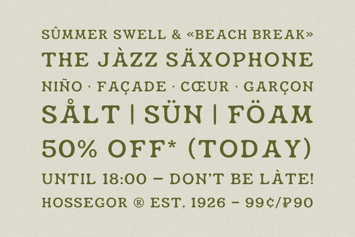 Hossegor - Retro Surf Serif Display