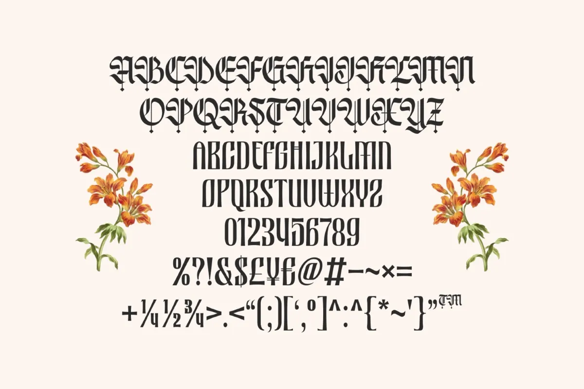 Nocthira - Blackletter Font