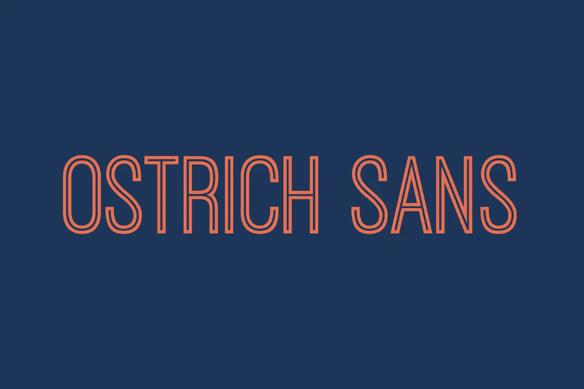 Ostrich Sans - 90s Font Family