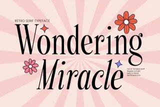 Wondering Miracle - Retro Serif Font