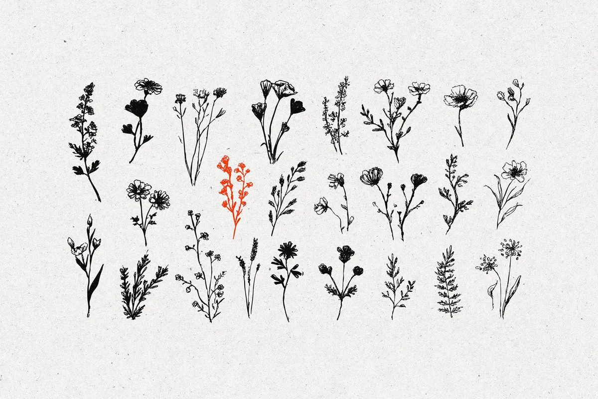 Wild Plants Graphic Set