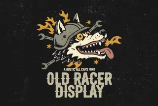 Old Racer Display
