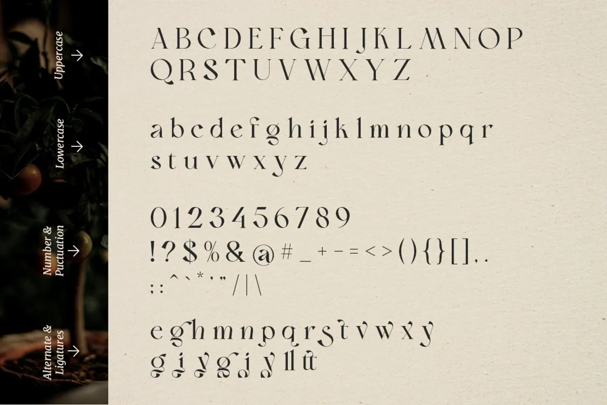 Bon Foyage - Vintage Serif Font