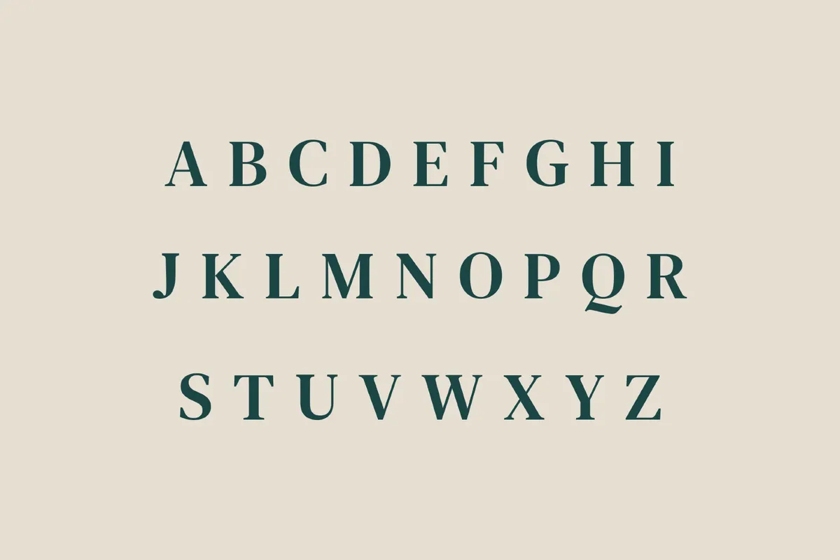 DM Serif Text - Free Font