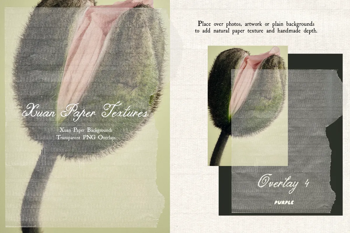 Xuan Paper Textures & Overlays