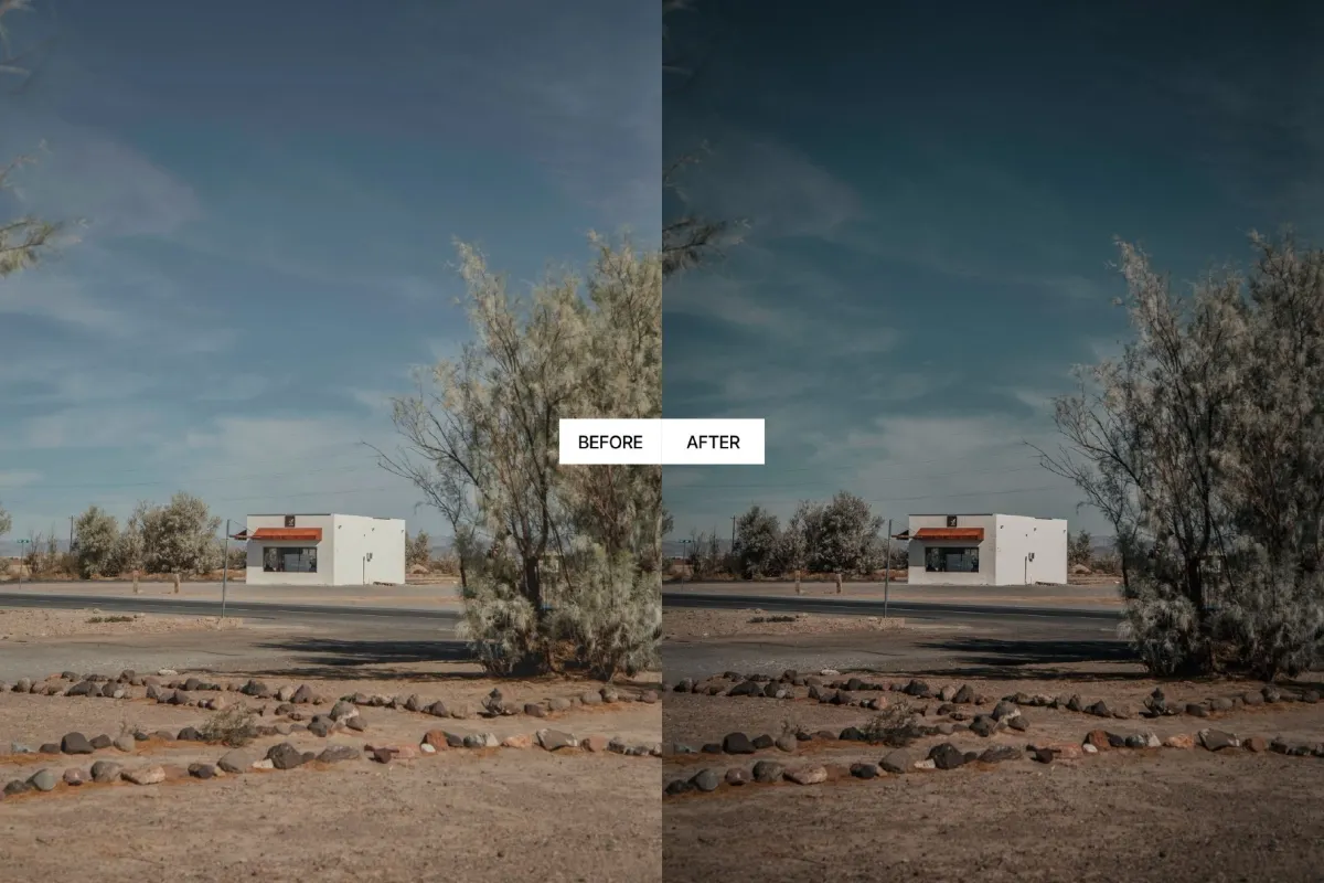 Dark Desaturated Lightroom Presets