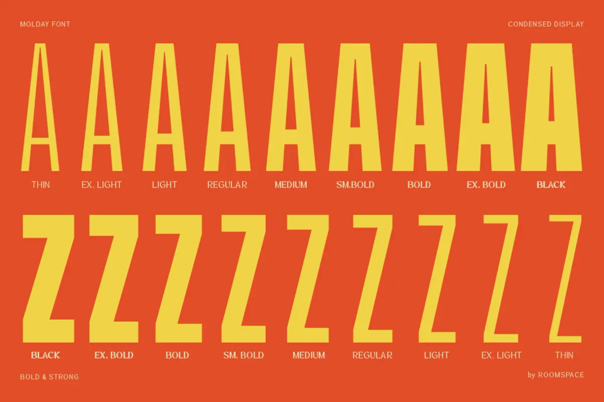 Molday - Condensed Sans Serif Font Family