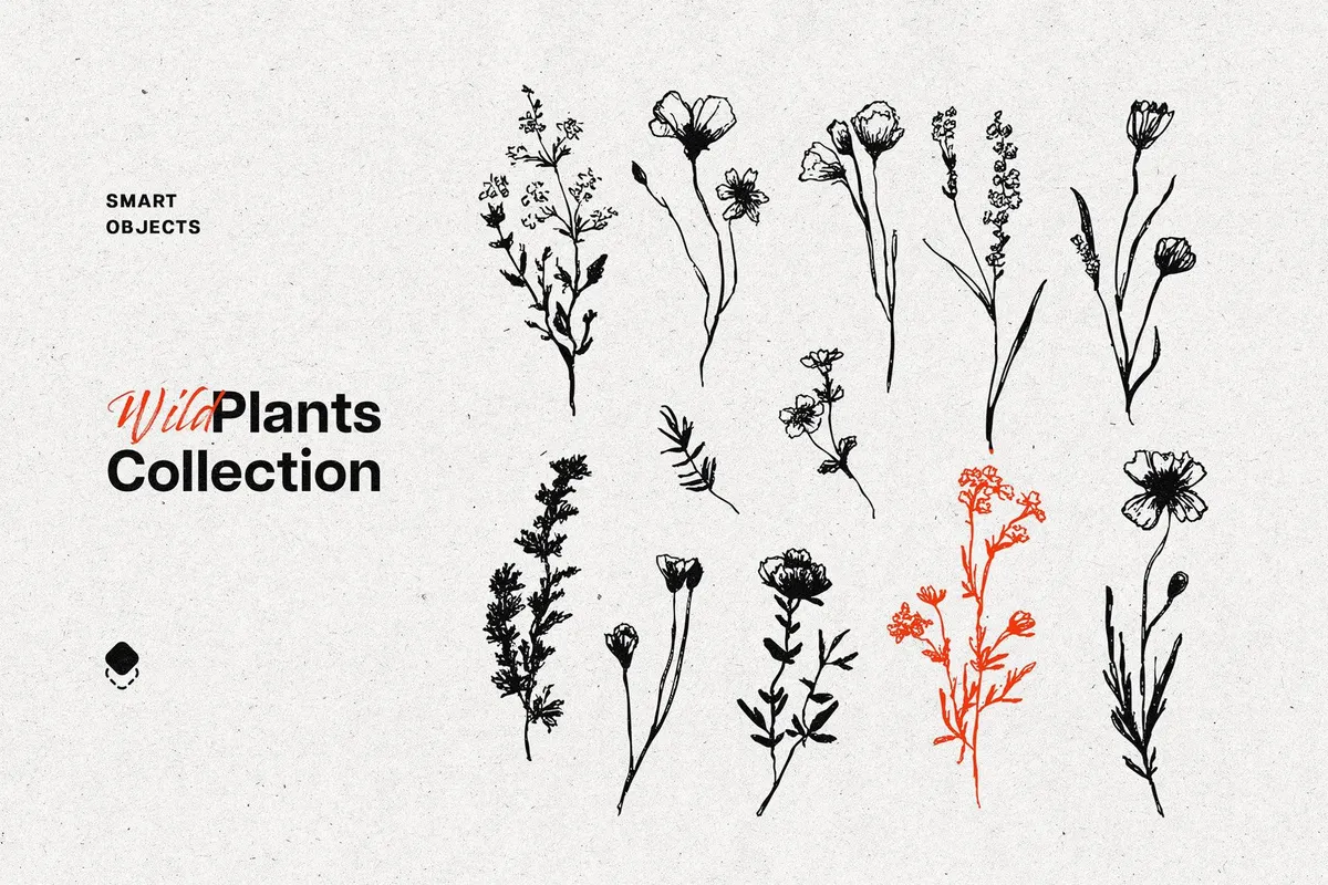Wild Plants Graphic Set