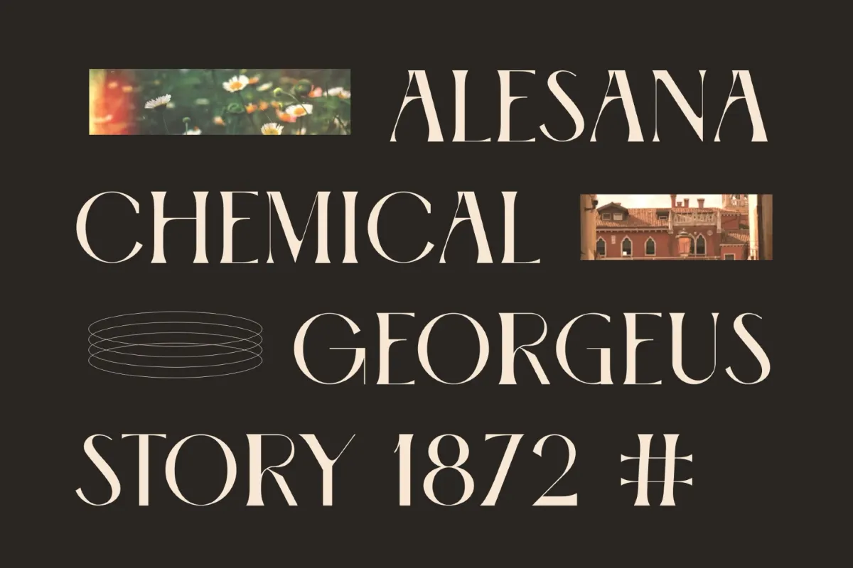Amerta - High Contrast Serif Font