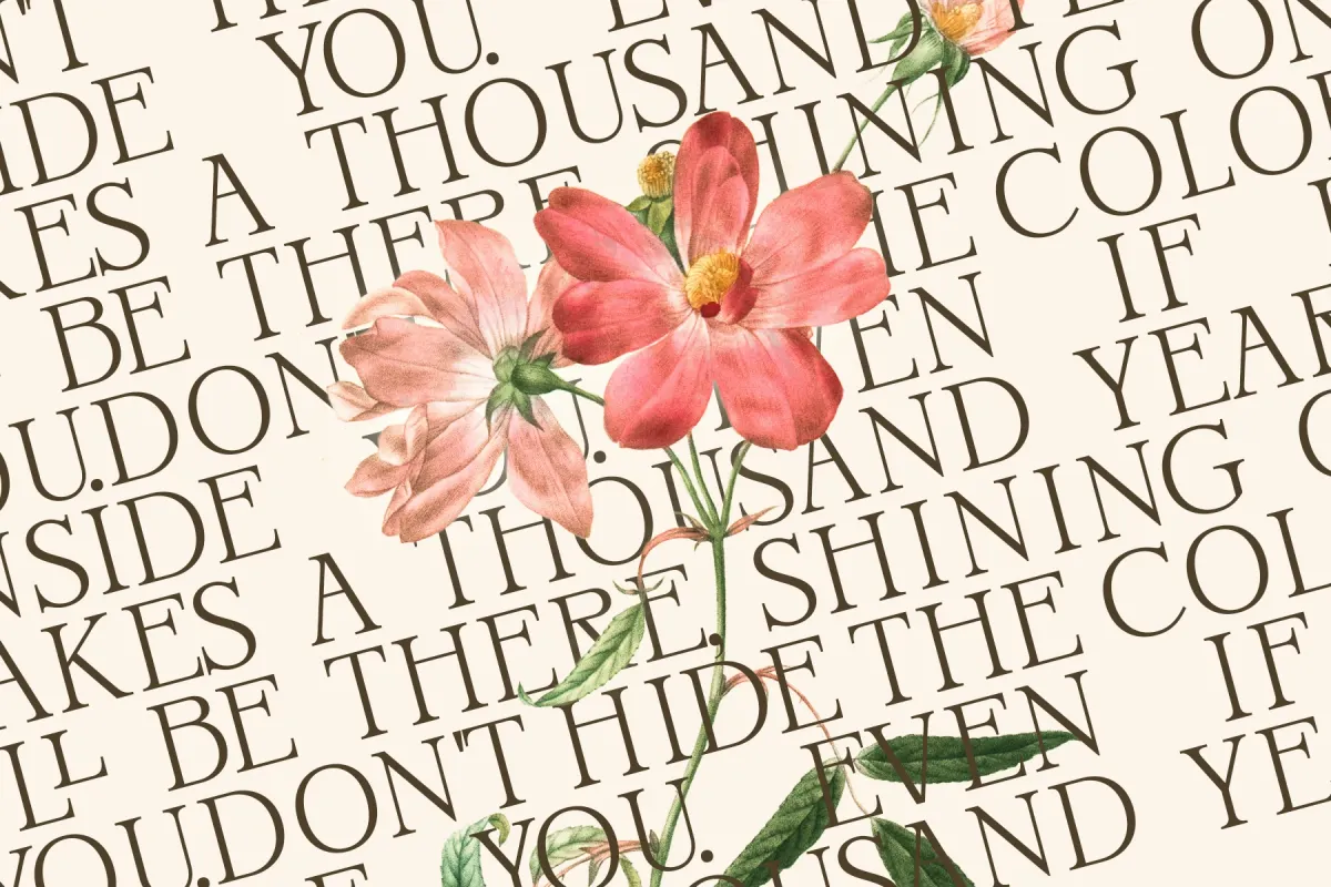 Oonelle - Elegant Serif Font