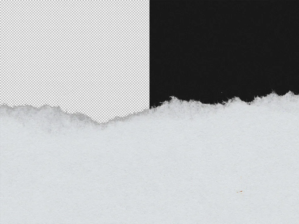 Ripped Paper Texture Set