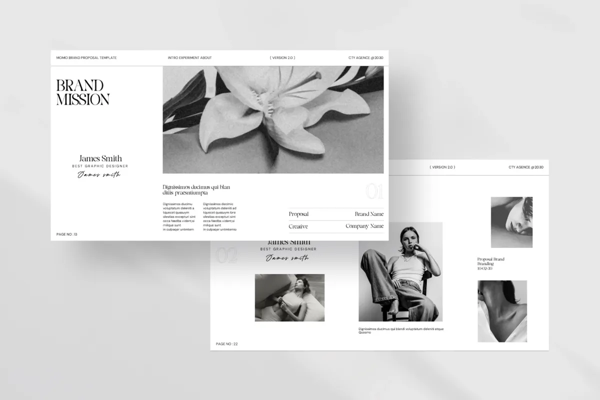 Brand Proposal Presentation Template