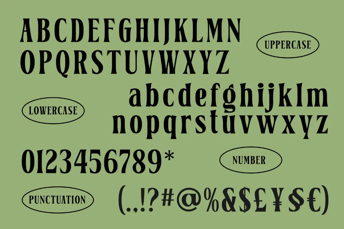 Belgino – Elegant Serif Font