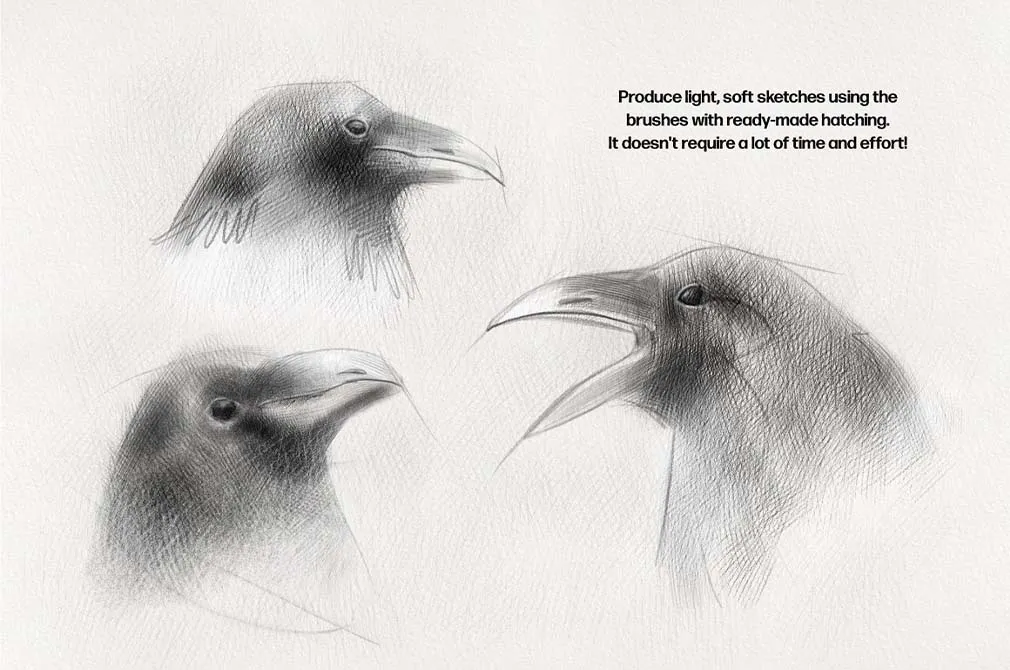 Pencil Photoshop Brushes