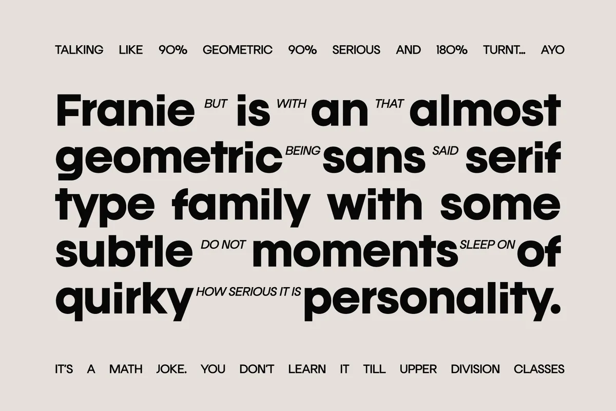 Franie - Geometric Sans Font Family