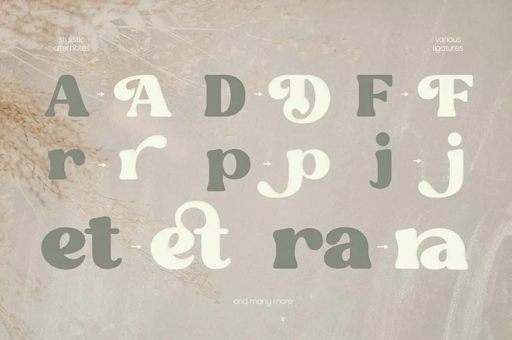 Fresh Almond Serif Font