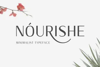 Nourishe Sans Serif Font
