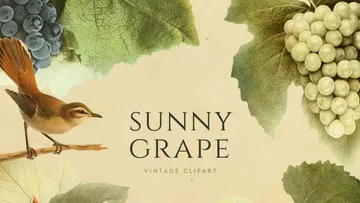 Sunny Grape Vintage Clipart