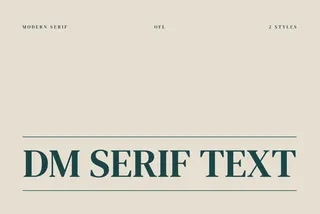 DM Serif Text - Free Font