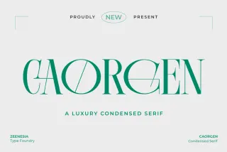 Caorgen - Fashion Display Serif Font