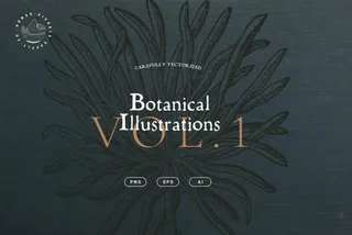 Botanical Illustrations