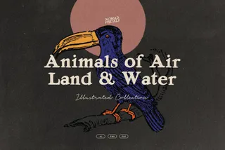 Animals of Air Land Water