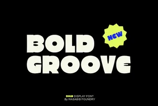 WTF Bold Groove — Display Font