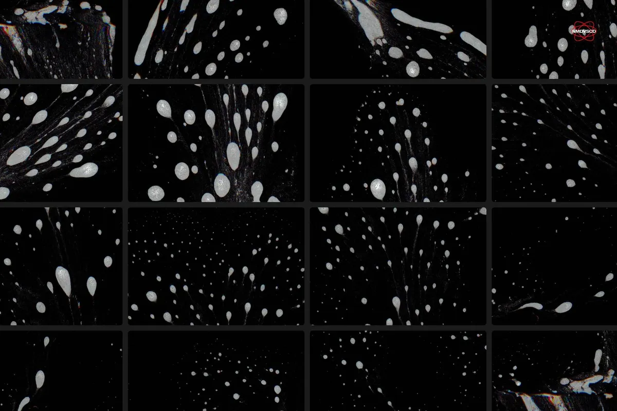 Foamy Scanner Textures