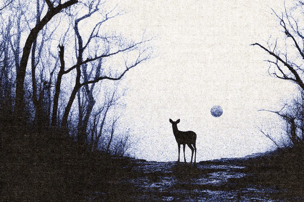 Stippling Photo Effect