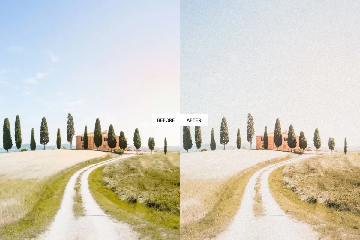 Vintage Summer Lightroom Presets