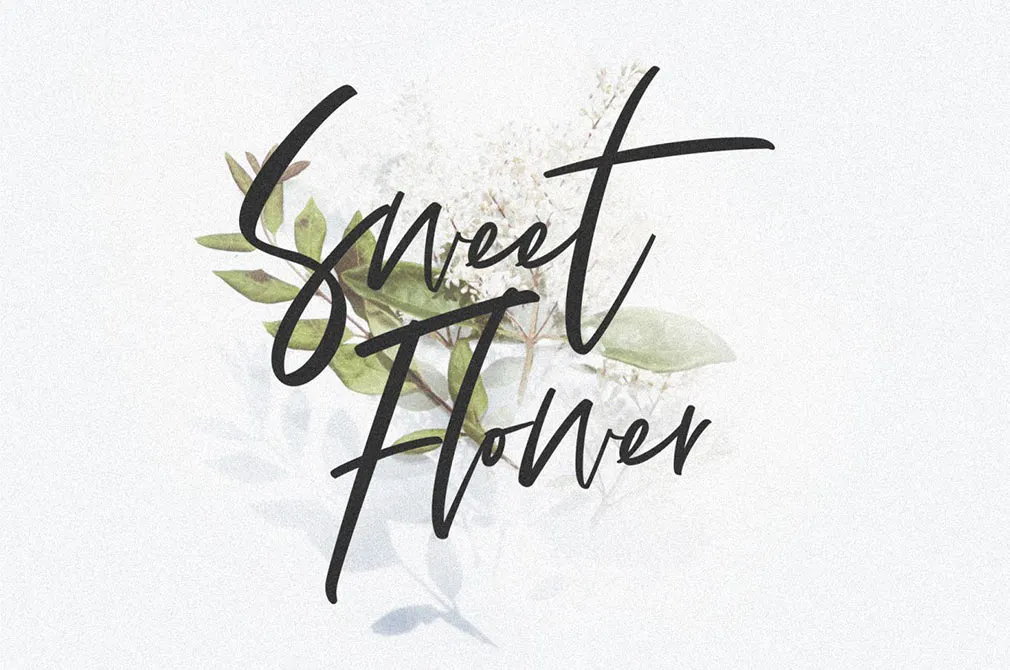 Refaline Script Font