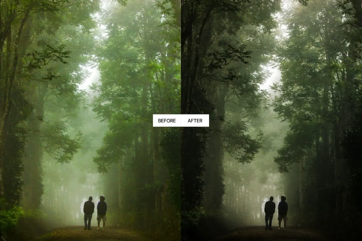 Dark Forest Moody Lightroom Presets