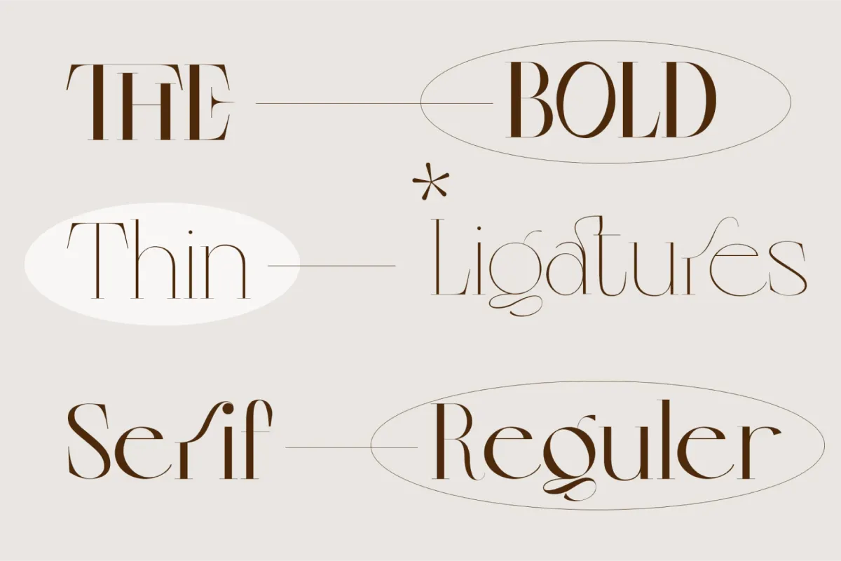 Colibre Bristole Pro - Serif Font