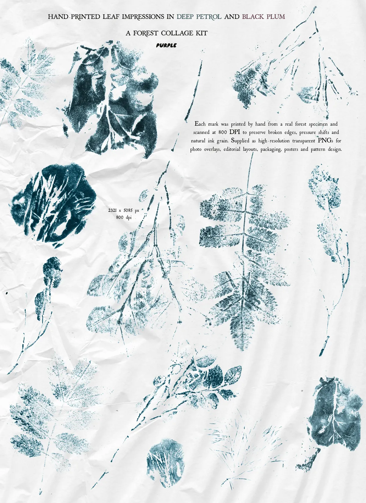 Underprint: Forest Collage Material Kit
