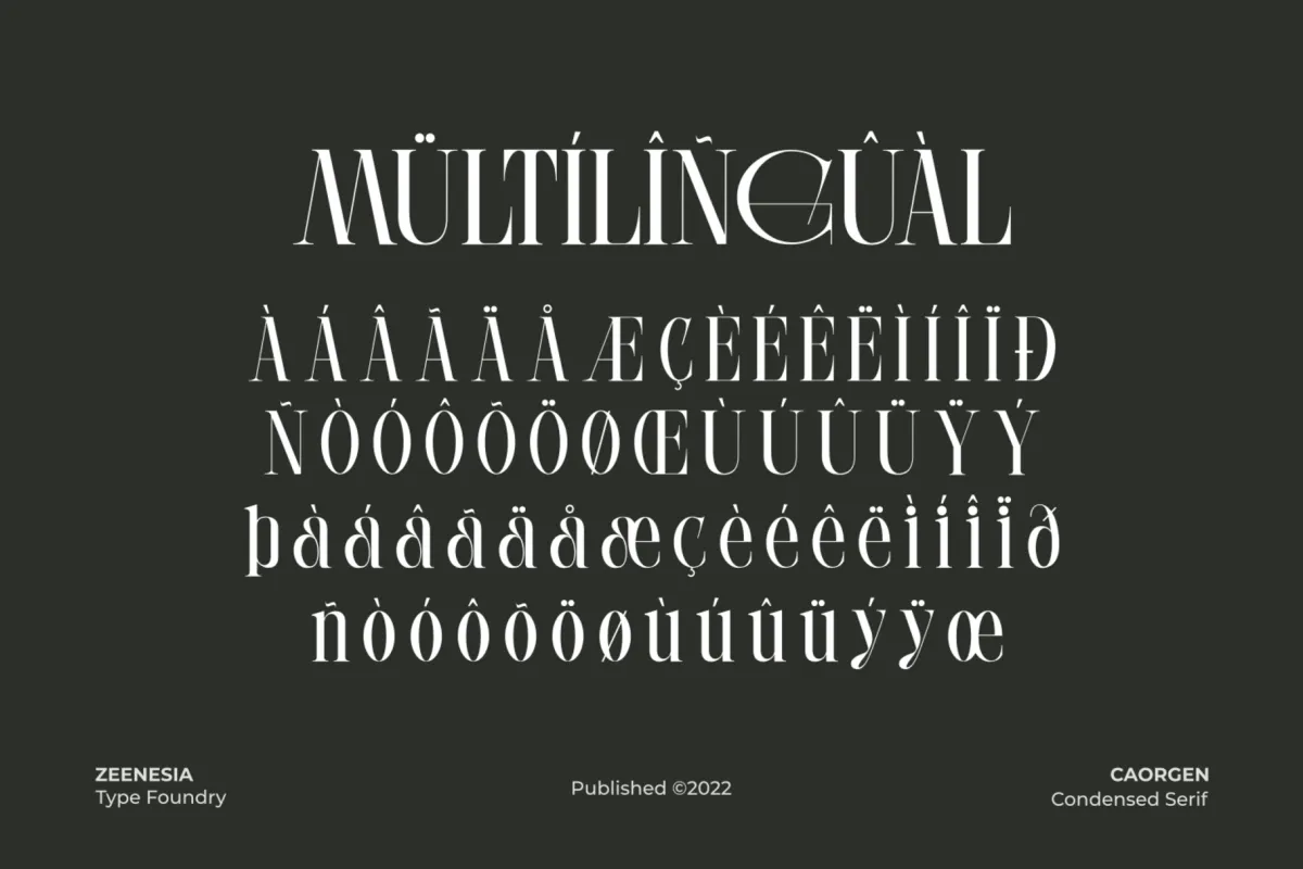 Caorgen - Fashion Display Serif Font