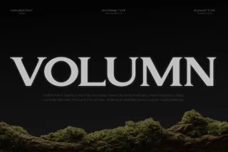 GC Volumn - Elegant Serif Font