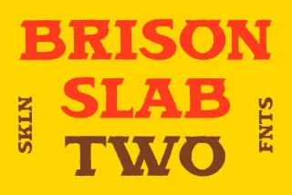 SFC Brison Slab Two - Desert Western Font