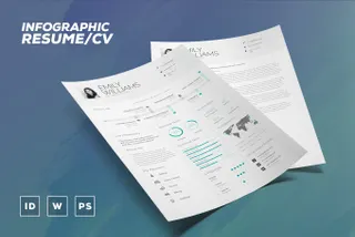 Infographic Resume Template
