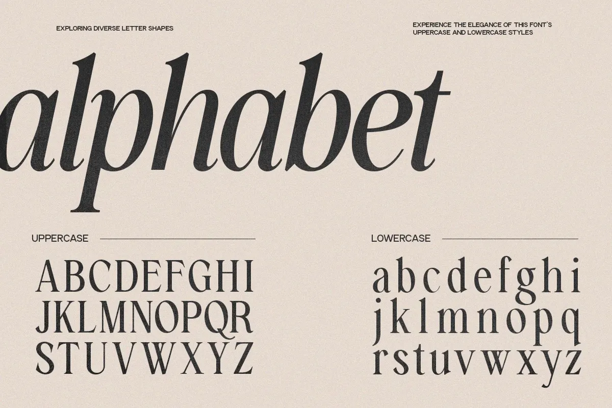 GC Amelie Promised – Italic Serif